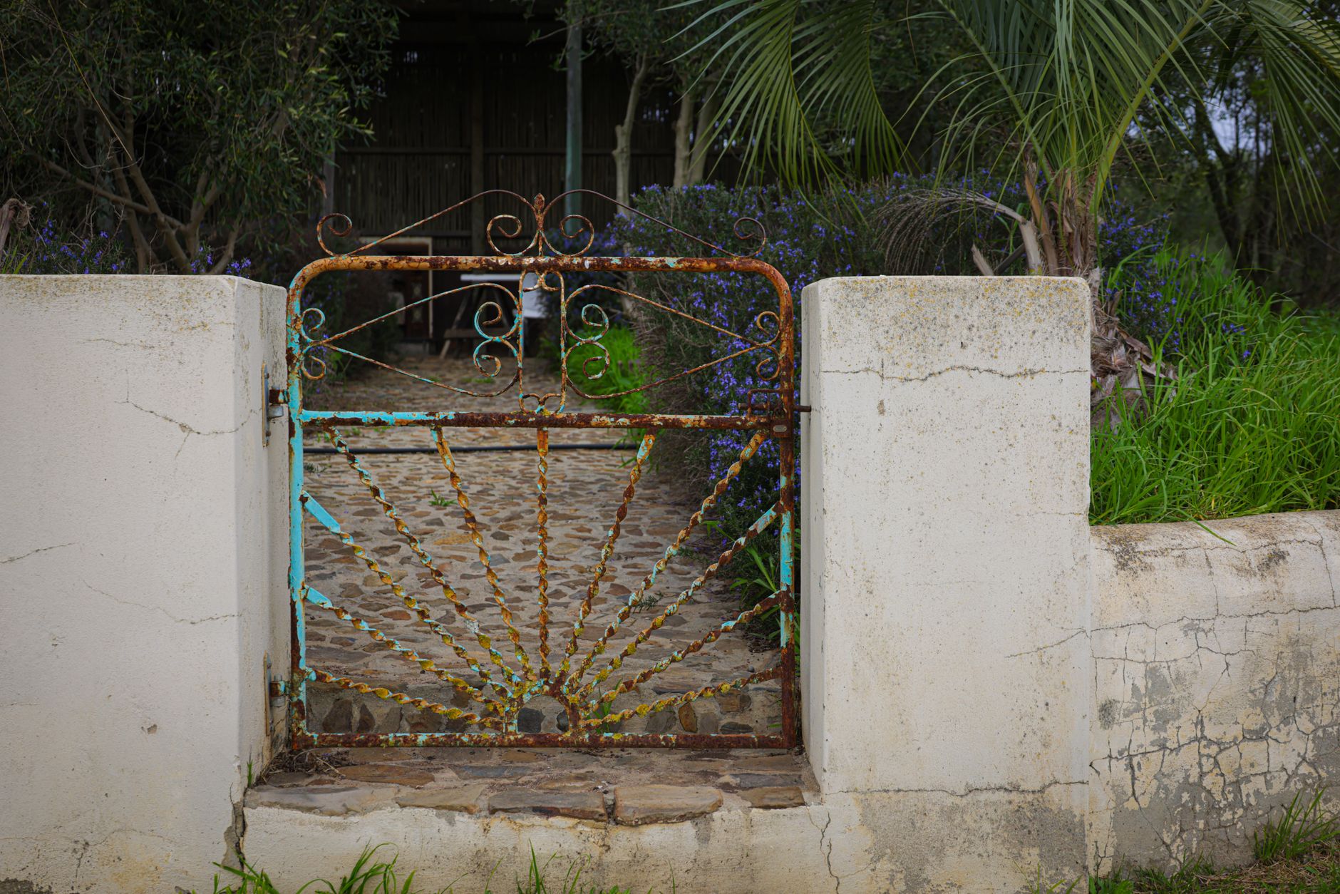A rustic iron gate surrounded by vibrant green plants and a cobblestone path